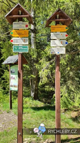 rozhledna-boruvkova-hora-01.webp