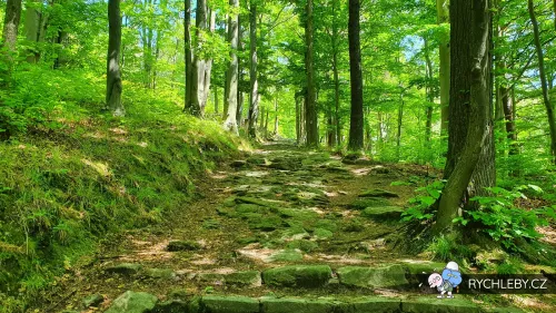 Krizova-cesta-05.webp