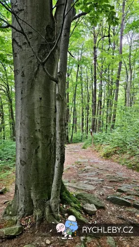 Krizova-cesta-11.webp