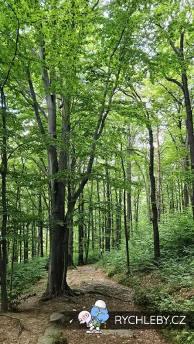 Krizova-cesta-12.webp
