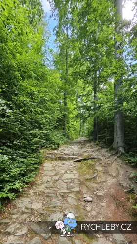 Krizova-cesta-20.webp