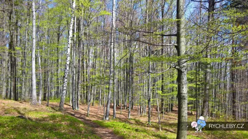 Certovy-kazatelny-002.webp