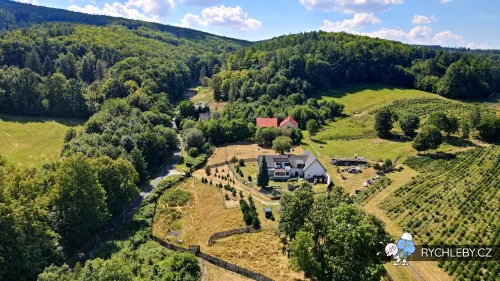 horni-hostice-2022-054.webp