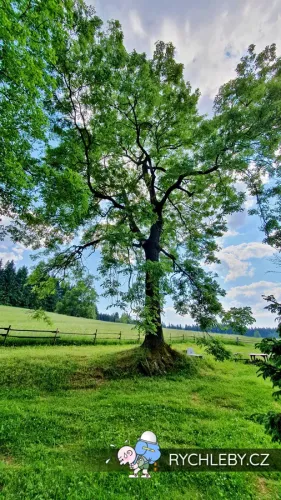 hranicky-069.webp