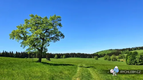 hranicky-082.webp