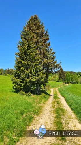 hranicky-092.webp