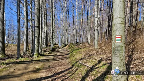 kaltenstejn-06.webp