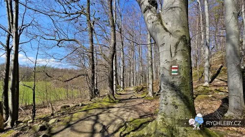 kaltenstejn-07.webp