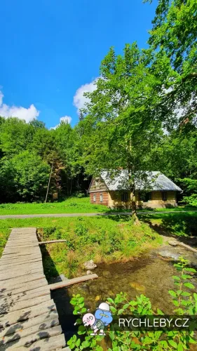 nyznerov-52.webp