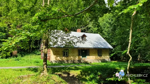 nyznerov-53.webp