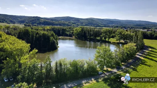 pelnar-01.webp