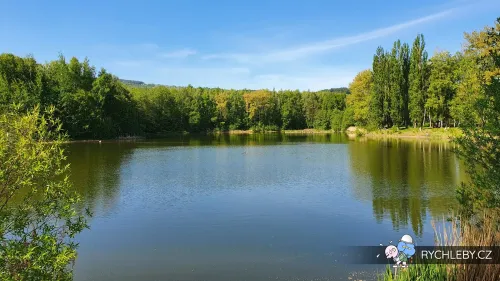 pelnar-16.webp