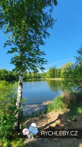 pelnar-18.webp