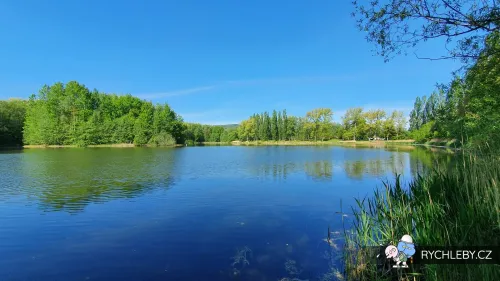pelnar-20.webp