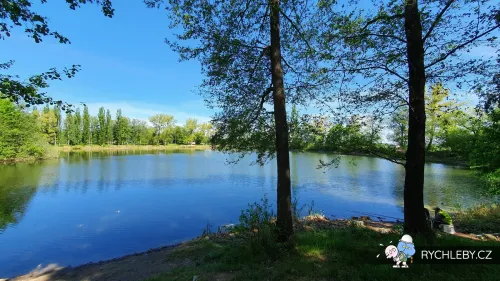 pelnar-23.webp