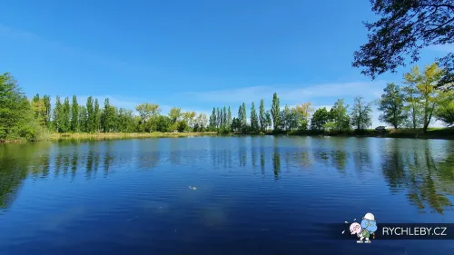 pelnar-25.webp