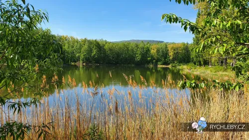pelnar-28.webp