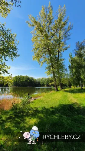 pelnar-29.webp