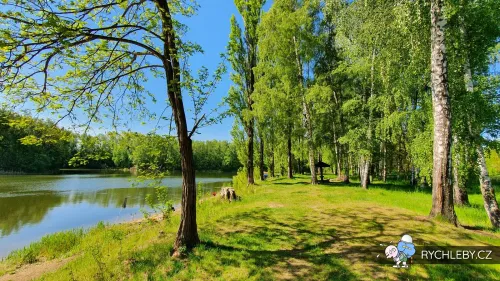 pelnar-30.webp