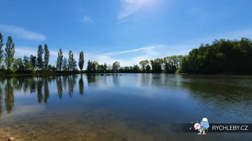 pelnar-31.webp