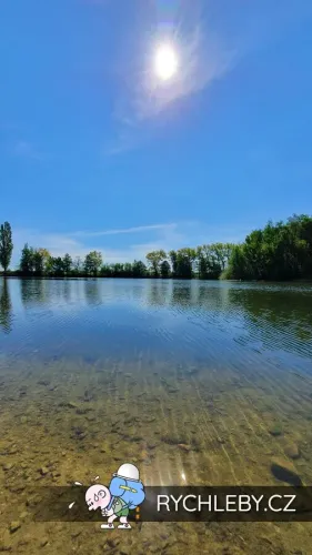 pelnar-33.webp