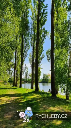 pelnar-34.webp