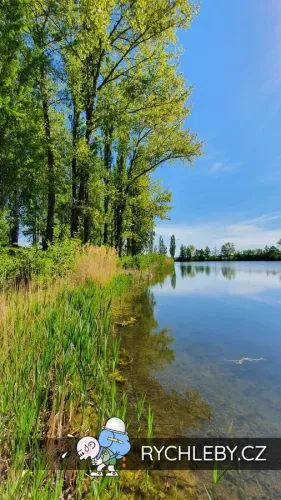 pelnar-36.webp