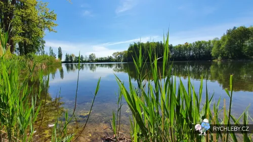 pelnar-37.webp