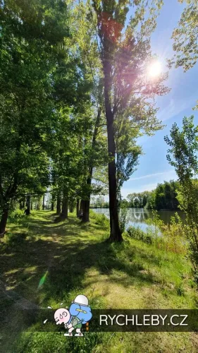 pelnar-38.webp