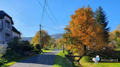 petrovice-22.webp