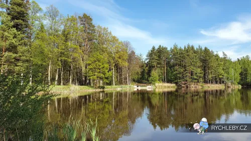 rybnik-u-dubu-28.webp