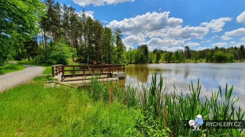 rybnik-u-dubu-40.webp