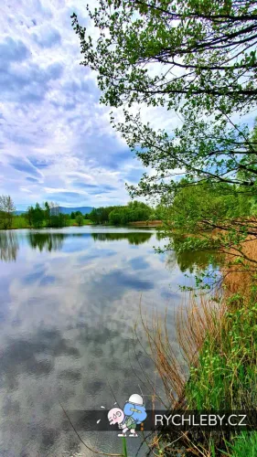 sirava-16.webp