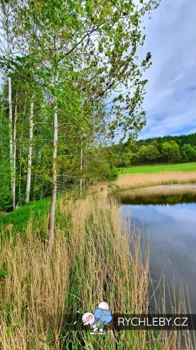 sirava-17.webp