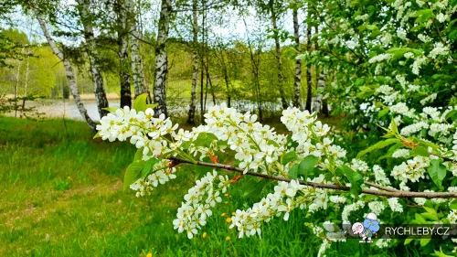 sirava-18.webp