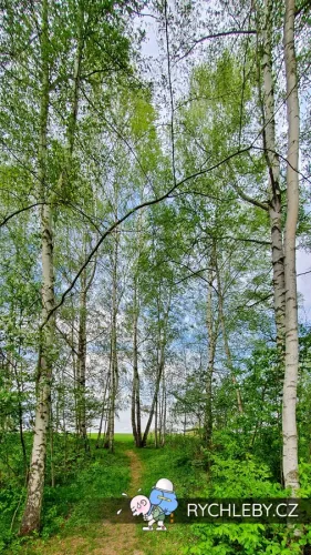 sirava-23.webp