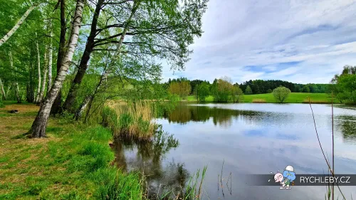 sirava-25.webp