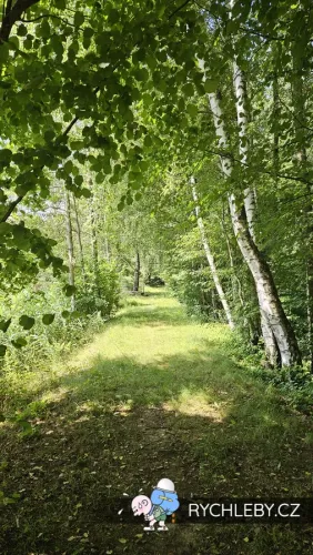 sirava-33.webp