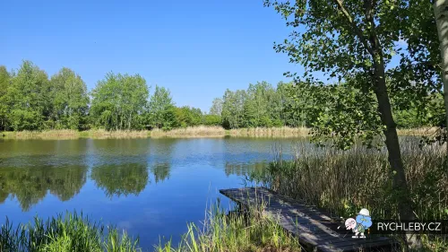sirava-37.webp