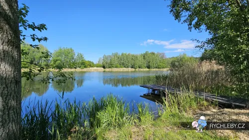 sirava-38.webp