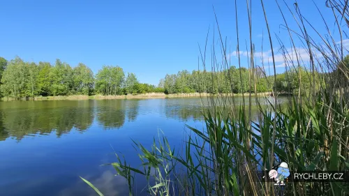 sirava-39.webp