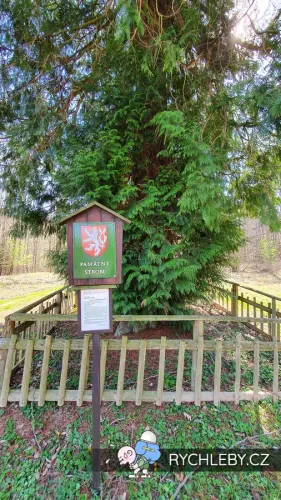 thuje-pod-kaltenstejnem-01.webp