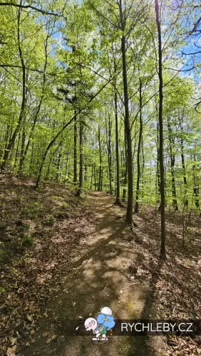 travna-krizova-cesta-04.webp