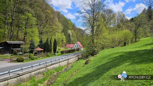 travna-003.webp