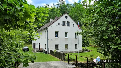 travna-042.webp