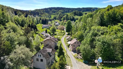 travna-058.webp