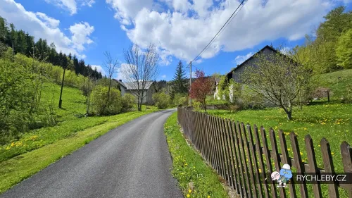 travna-074.webp
