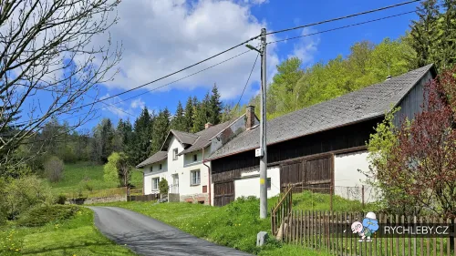 travna-075.webp