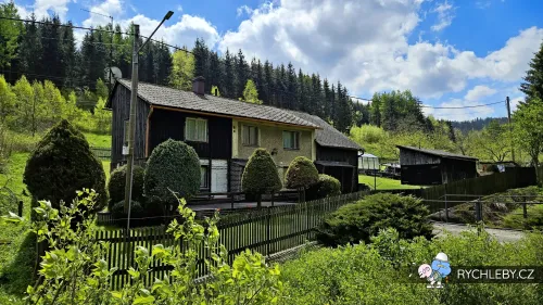 travna-082.webp