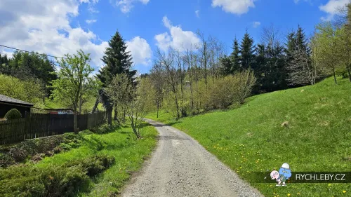 travna-084.webp